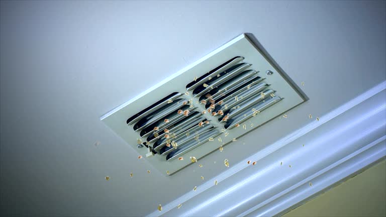 Best Best Air Duct Cleaning Company  in Wendell, ID