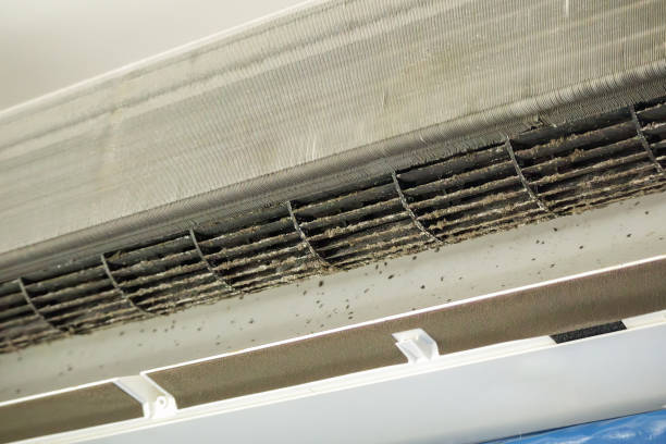 Best Local Air Duct Cleaning Services  in Wendell, ID